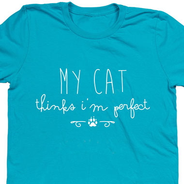 Strahlen ST-100 rear