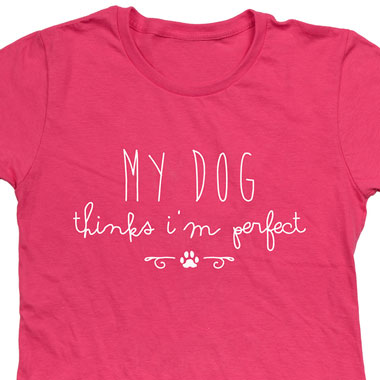 Strahlen ST-100 front mount